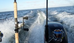 bodden nov 2014 32