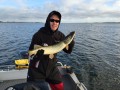 bodden nov 2014 33
