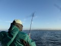 bodden nov 2014 35