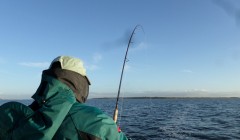bodden nov 2014 35