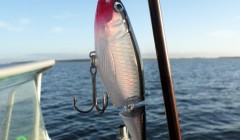 bodden nov 2014 38