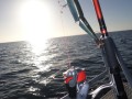 bodden nov 2014 42