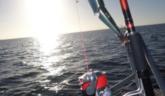 bodden nov 2014 42