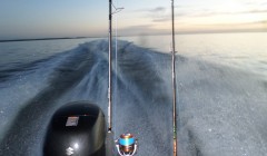 bodden nov 2014 44