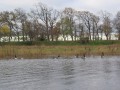 bodden 2013 0013