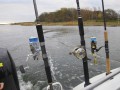 bodden 2013 0014