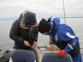 bodden 2013 0019