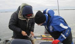 bodden 2013 0019