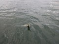 bodden 2013 0021