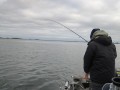 bodden 2013 0024
