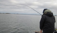 bodden 2013 0024