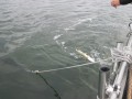 bodden 2013 0025