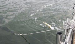 bodden 2013 0025