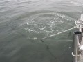 bodden 2013 0027