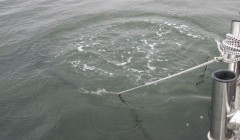 bodden 2013 0027