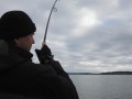 bodden 2013 0028