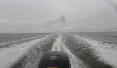 bodden nov 2014 51