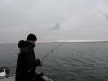 bodden nov 2014 57