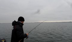 bodden nov 2014 57
