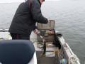 bodden nov 2014 58