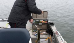bodden nov 2014 58