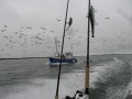 bodden nov 2014 60