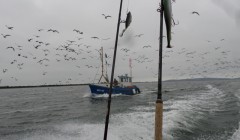 bodden nov 2014 60