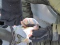 bodden 2013 0044