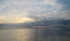 bodden 2013 0046