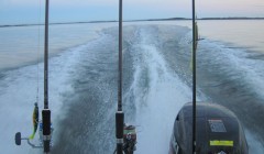 bodden 2013 0052
