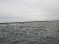 bodden 2013 0058