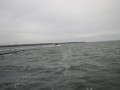 bodden 2013 0059