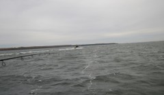 bodden 2013 0059