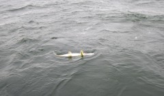 bodden 2013 0060