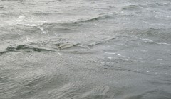 bodden 2013 0063