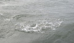 bodden 2013 0064
