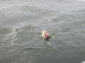 bodden 2013 0065