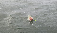 bodden 2013 0065