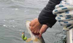 bodden 2013 0067