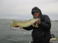 bodden 2013 0068