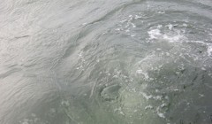 bodden 2013 0069