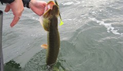 bodden 2013 0070