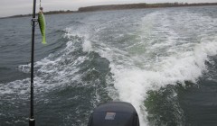 bodden 2013 0072