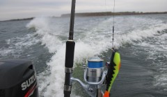 bodden 2013 0073