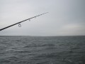 bodden 2013 0075