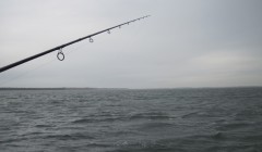 bodden 2013 0075