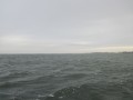 bodden 2013 0076