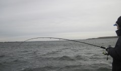 bodden 2013 0082
