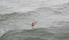bodden 2013 0083