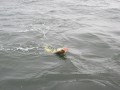 bodden 2013 0084